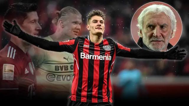 能以活动紫 能以活动紫